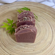 Load image into Gallery viewer, Christmas Bush