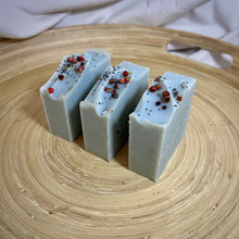 Load image into Gallery viewer, Festival